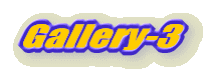Gallery-3